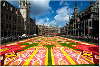 Grand Place Carpet of Flowers