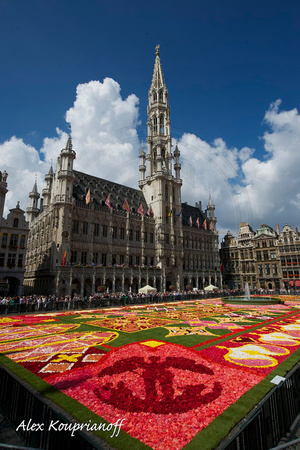 Flower Carpet - Brussels Grand Place #06